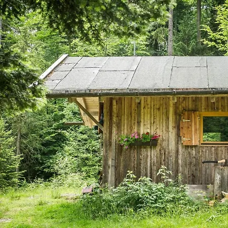 Zum Veitbauern Lam